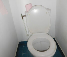 Un WC classique et banal Transformation d'un T2 en T3 - WC posé au sol avant la rénovation